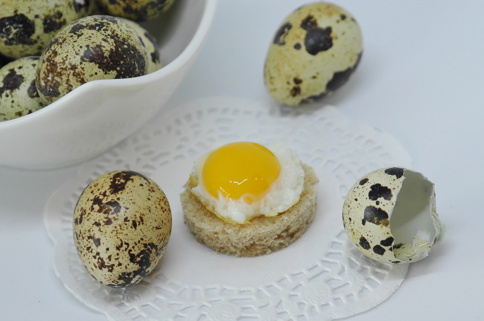 egg-3240284_1920